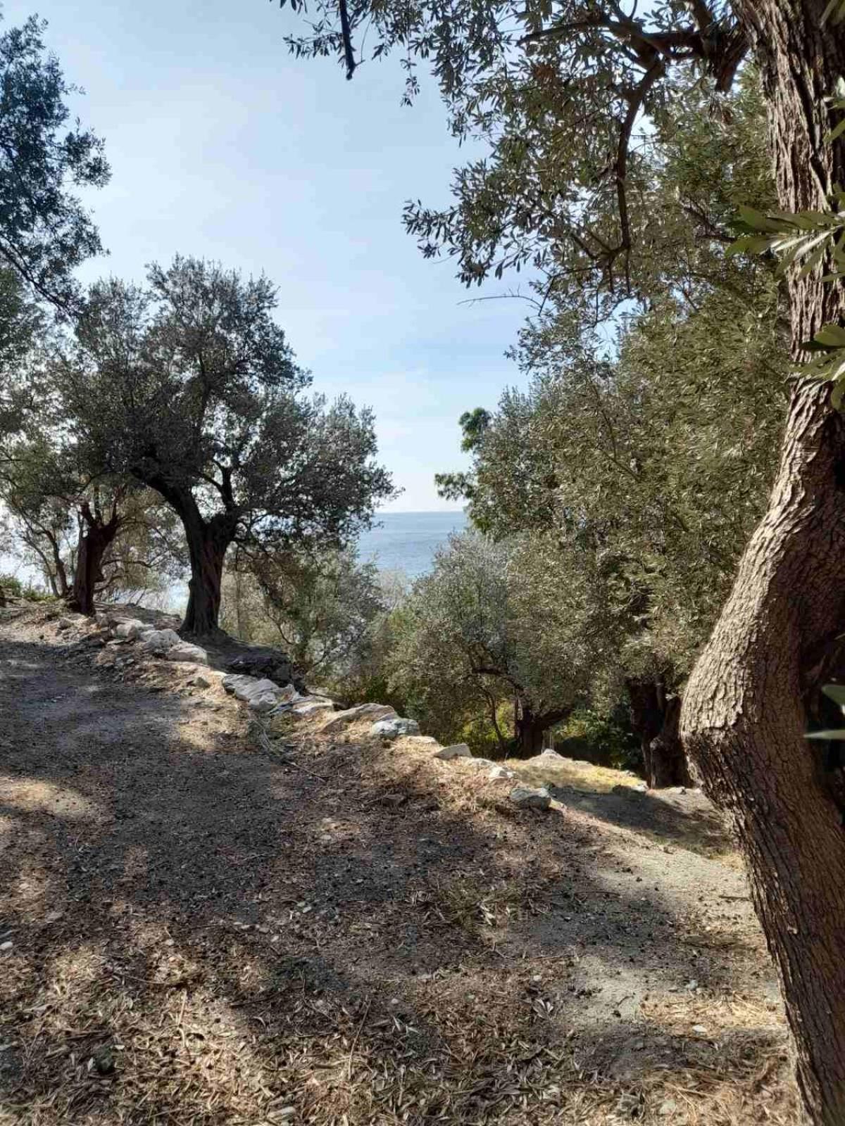 Δωμάτια Κόκκινος Πύργος Plomari Екстериор снимка